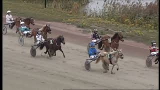Ponnylopp 4-2026-08-22