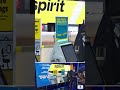 Google is buying a gigantic set of internal Spirit Airlines data