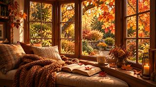 Golden Autumn Window Ambiance 🪟 Soft Sunshine & Gentle Breeze , Nature Sounds | Focus & Relax screenshot 3