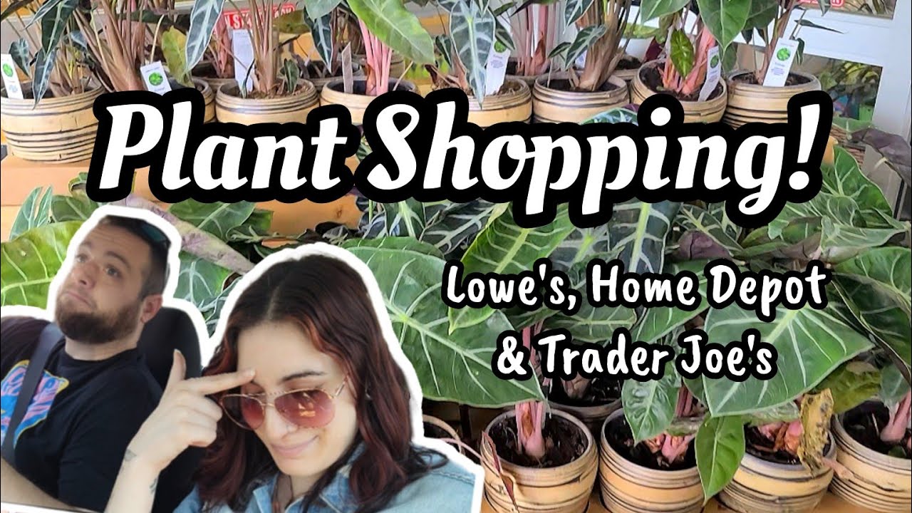 LOWE'S & HOME DEPOT PLANT SHOPPING!! 🌿 looking at trash plants w David 🗑 + Trader Joe's 🙃 YouTube