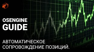 Автоматическое Сопровождение Позиций В Osengine.