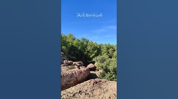 من أعلى القمم… تلاوة خالد الجليل تهزّ القلوب بين جمال الطبيعة والهدوء! #خالد_الجليل #القرآن_الكريم