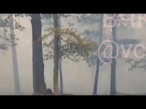 Камеры города новокузнецк. Камеры луговая. Камеры луговая. Луговая владивосток кольцо. Достопримечательности мытищи.