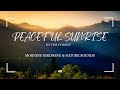 🌲 Peaceful Sunrise in the Forest – Morning Birdsong & Nature Sounds 🌞