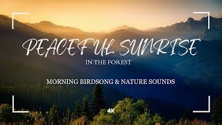 🌲 Peaceful Sunrise in the Forest – Morning Birdsong & Nature Sounds 🌞 screenshot 4