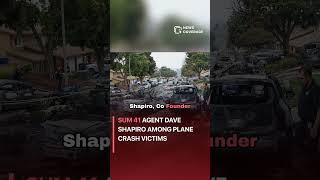 Sum 41 Agent Dave Shapiro Among Plane Crash Victims #entertainment #entertainmentnews
