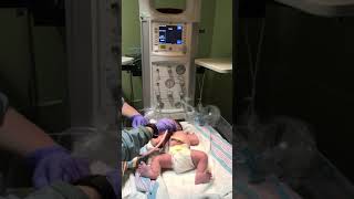 Phoebe Anh Bui hello world 3/2/2017