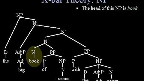 Syntax: X-Bar Theory: Lecture 1: Background and Specifier