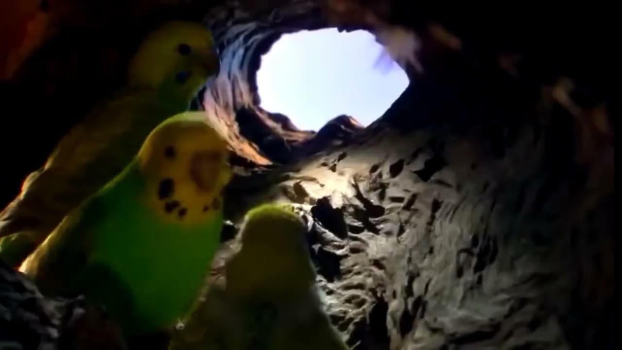 ГДЕ КОНЧАЕТСЯ СУША?