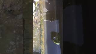 Mecana filter poor backwashing during commissioning