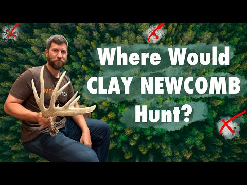 Where would CLAY NEWCOMB HUNT?