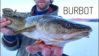 Afternoon Burbot Fishing Northern BC