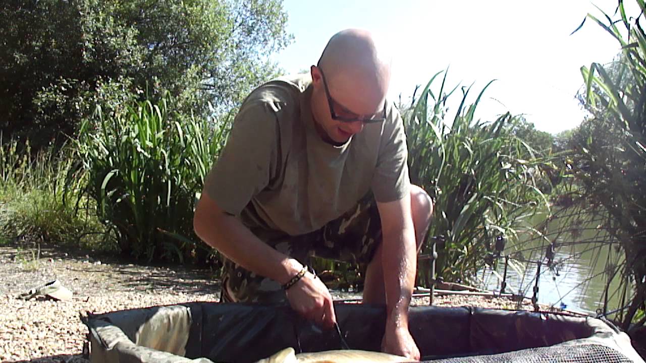 olivemead carp!!!!!!