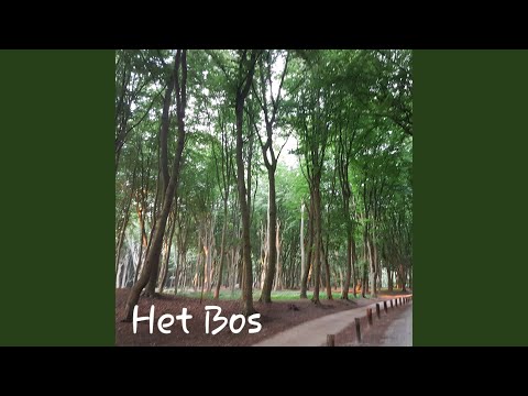 Watch Het bos on YouTube Watch Het bos on YouTube