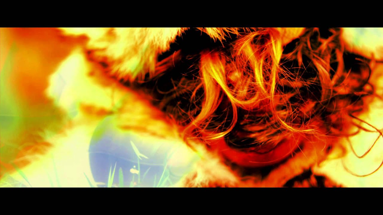 Thus Owls – Ropes (Official Video)