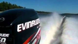 EVINRUDE 250 HO