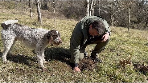 Truffle hunting at HPB Constant with Xavier Mathiaud and Rigo