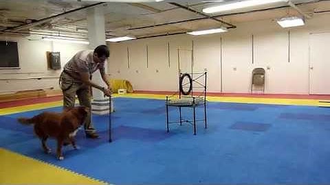 KPA 10 Behavior chain