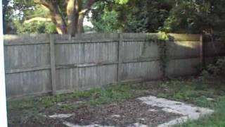 29th Street North St Petersburg, FL 33714 (Extended Version)