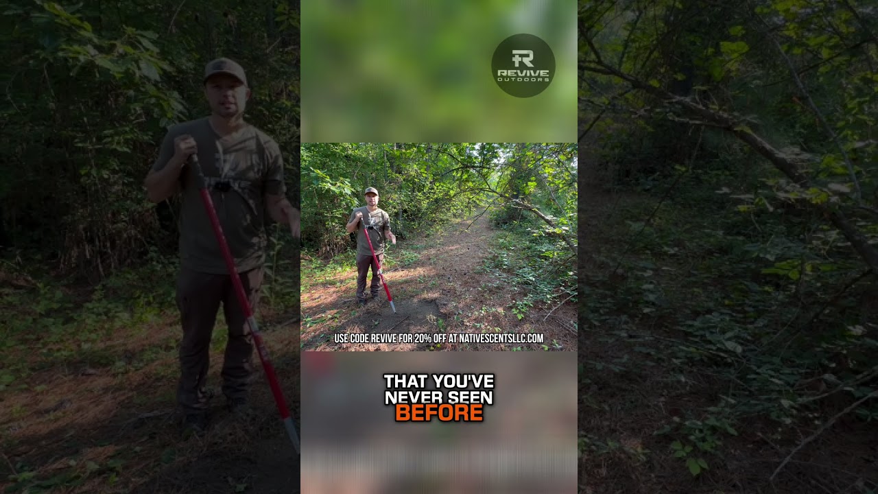 Hunt Bucks Now Late Season Mock Scrape Hunting Secrets