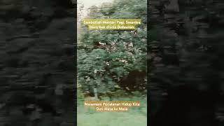 Niat Suci dalam Hati, Tengadah Tangan Memohon Do'a, Menunggu Masanya Tiba #quotes #youtubeshorts