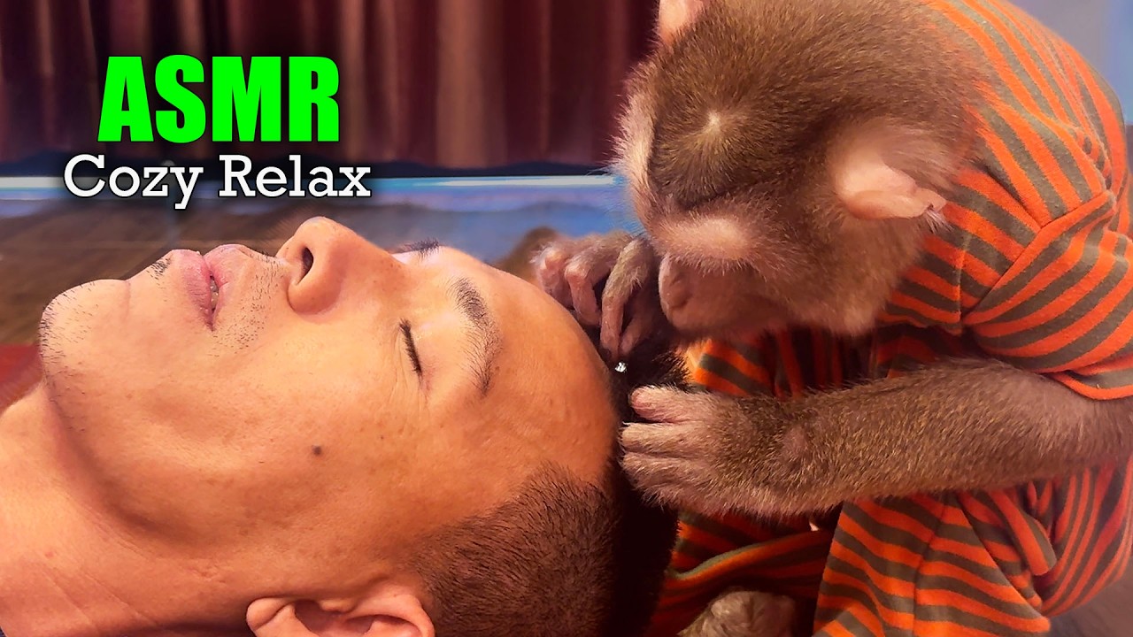 Judy's Gentle Grooming ASMR | Fall Asleep to Real Monkey Tapping & Mouth Sounds
