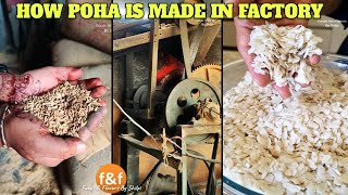 जानिए फैक्ट्री में कैसे बनता है पोहा How poha is made in Factory? Flatten Rice Making Process