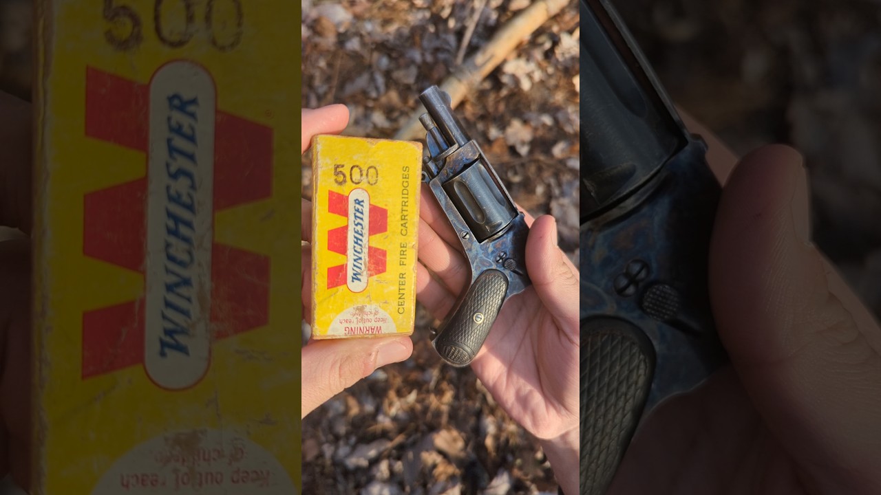 Smallest Revolver vs Tiles • Uncommon Case Hardened