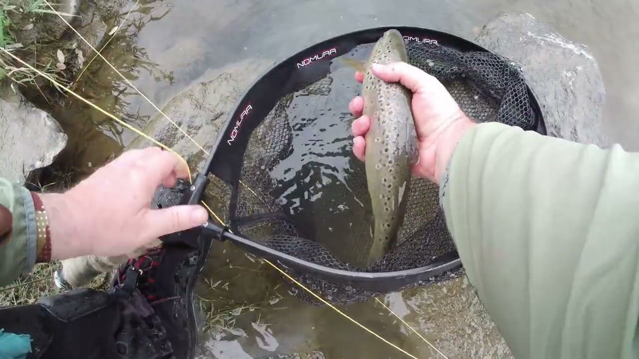 BOLLATE in ADDA!! Parte 3 Dry Fly drifting