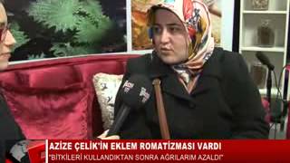 13 Azi̇ze Çeli̇k Eklem Romati̇zmasi