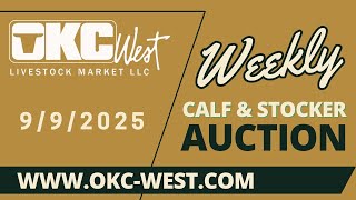 9/9/2025 - Calf & Stocker Auction - OKC West