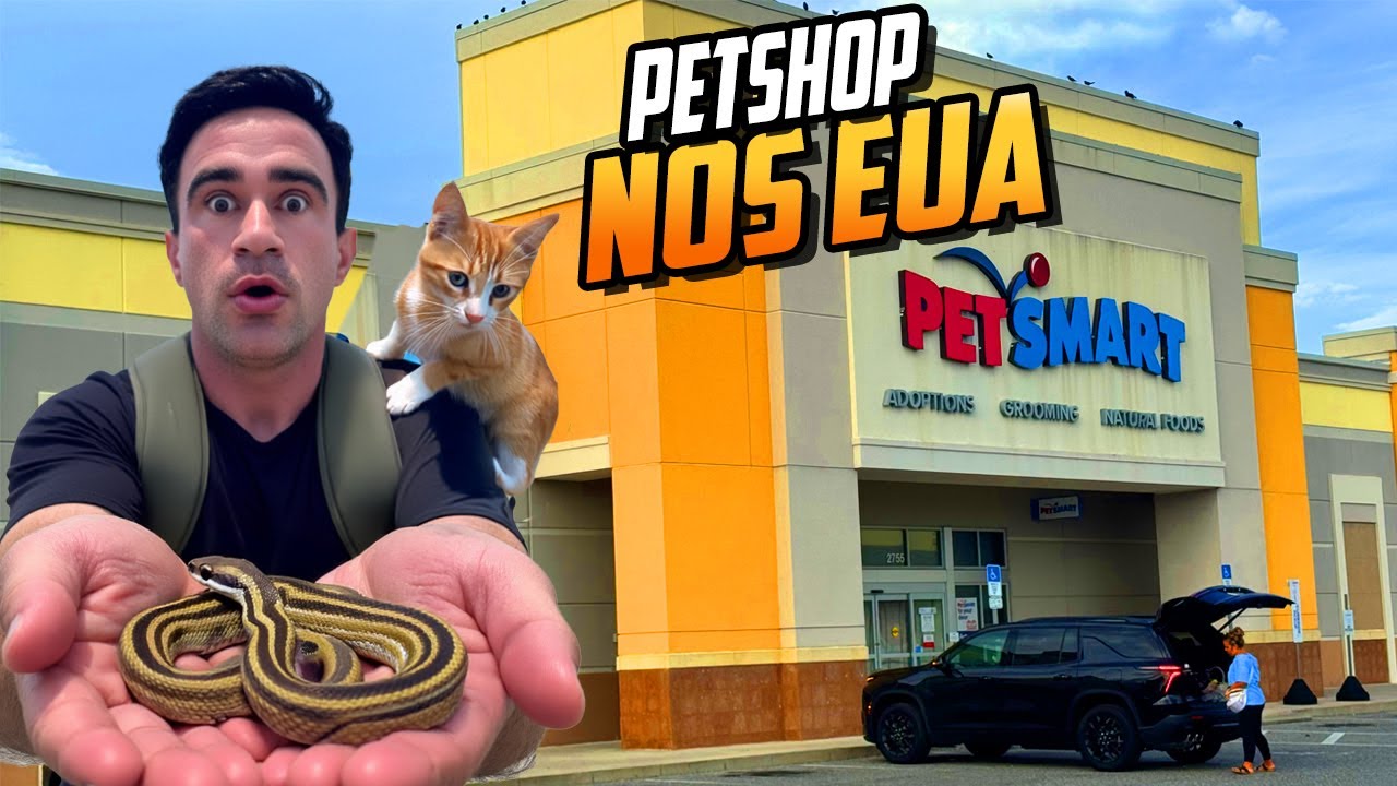 Do Exótico ao Fofo 🐱🐍 PET SHOP nos EUA - Gatos para Adoção