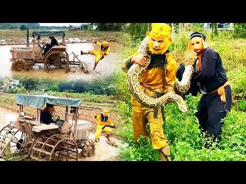 Video Tôn Ngộ Không Máy Cày Đại Chiến Máng Xà Khổng Lồ |... - youtube