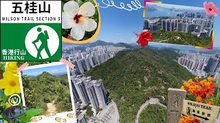 Wilson Trail Section 3「五桂山 Black Hill」を歩く🌺～Devil's Peak💣😈もついでに👌～