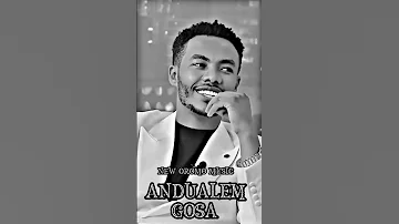 Andualem Gosa New Ethiopian Oromo Music New Full Album Ayyaantuu 2024 