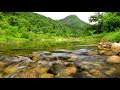 4k ulandscape mountain stream by waterfall flowing over rocks water stream white noise 10 hours