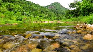 4k UHD Landscape Mountain Stream by Waterfall flowing over rocks. Water Stream White Noise 10 hours.
