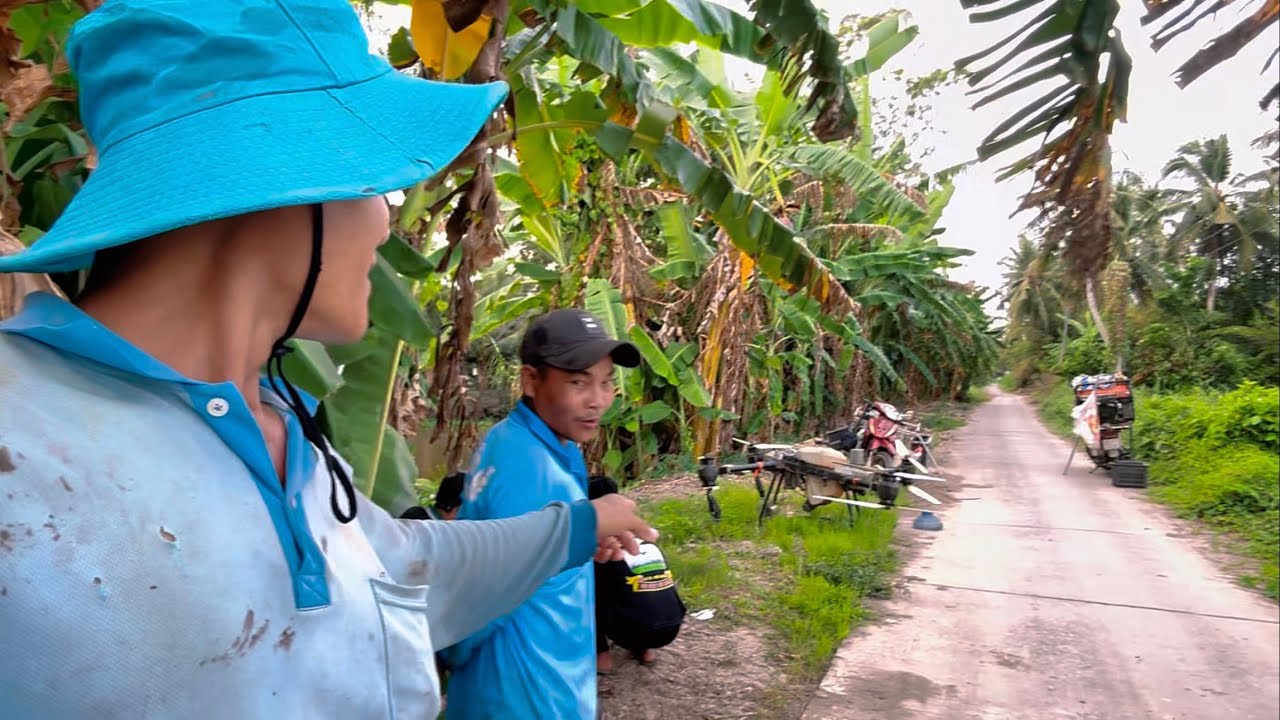 Bất ngờ em Xuân qua ruộng thầy dặm lúa thấy máy bay xịt thuốc rất thích thú 