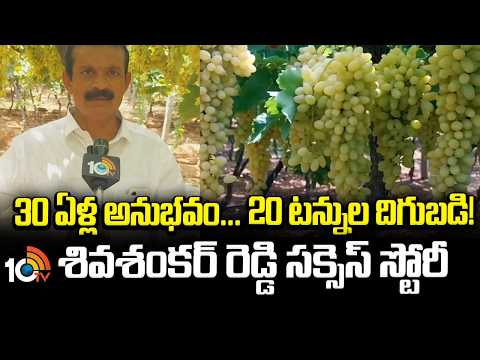 Anantapur Farmer Success Story | 30 ఏళ్ల అనుభవం.. 20 టన్నుల దిగుబడి! శివశంకర్ రెడ్డి సక్సెస్ స్టోరీ - 10TVNEWSTELUGU