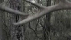 Outdoors With Tk And Mike Youtube Outdoors With Tk And Mike Youtube