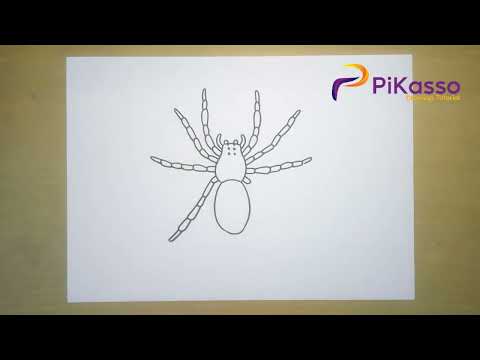 Wolf Spider Easy Drawing Tutorial