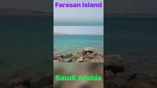 Farasan Island 🏝 Saudi Arabia