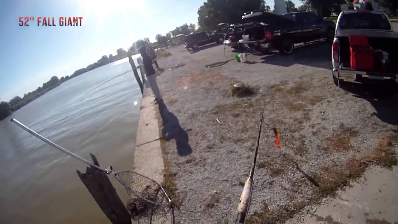 FISHING IS AWESOME 2014 HD BEST FISHING VIDEOS COMPILATION YouTube