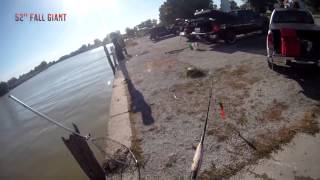 FISHING IS AWESOME 2014 HD BEST FISHING VIDEOS COMPILATION