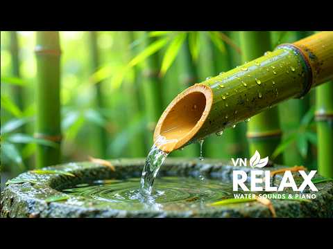 Relaxing Music + Bamboo Water Sounds 🌿 Calm Forest Night for Deep Sleep, Stress Relief & Meditation