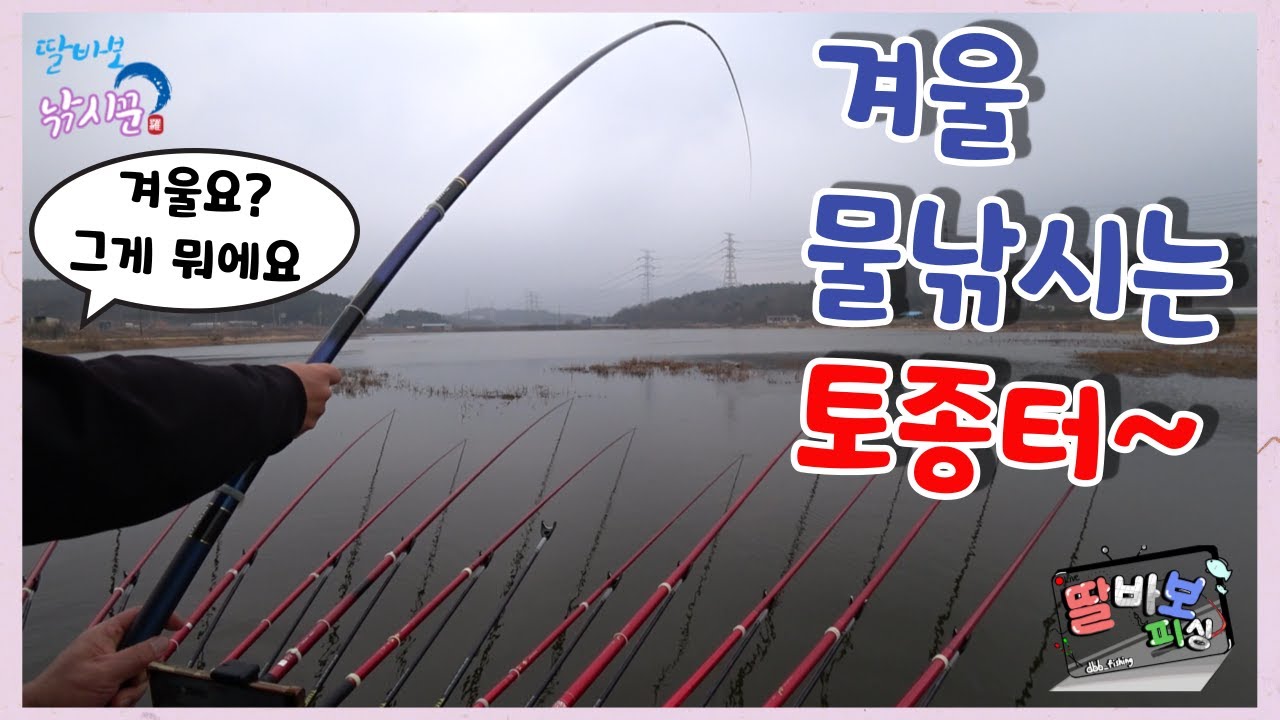 겨울 물낚시는 역시 토종터~ 마릿수 붕어는 기본! #보령 #구수지 #뗏장밭 #독탕
