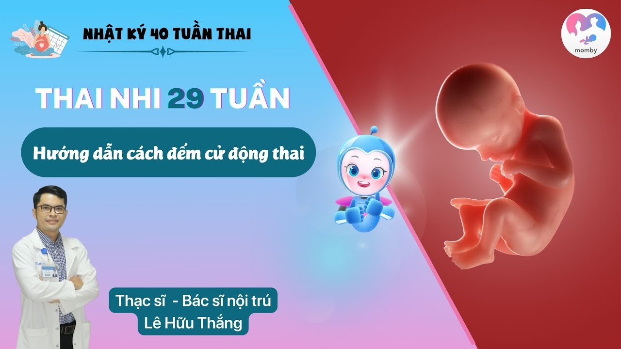 Thai 29 tuần: Cách đếm cử động thai - Sự phát triển của thai nhi 29 tuần - Bs. Lê Hữu Thắng
