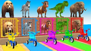Long Slide Game With Cow Elephant Gorilla Hippopotamus Tiger 3d Animal Game Funny 3d Animals screenshot 3