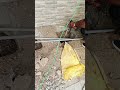 Solar Earthing khade ⛏️