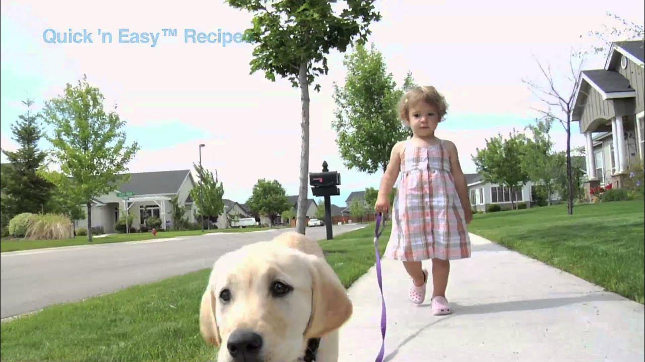 How to Make Your Own Pet Treats & Conceal Pet Pills Easy Homemade